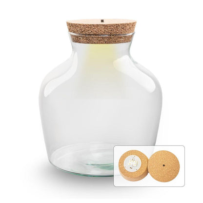 Bouteille terrarium LED : Ø 20 cm, hauteur 22 cm, 5,5 L