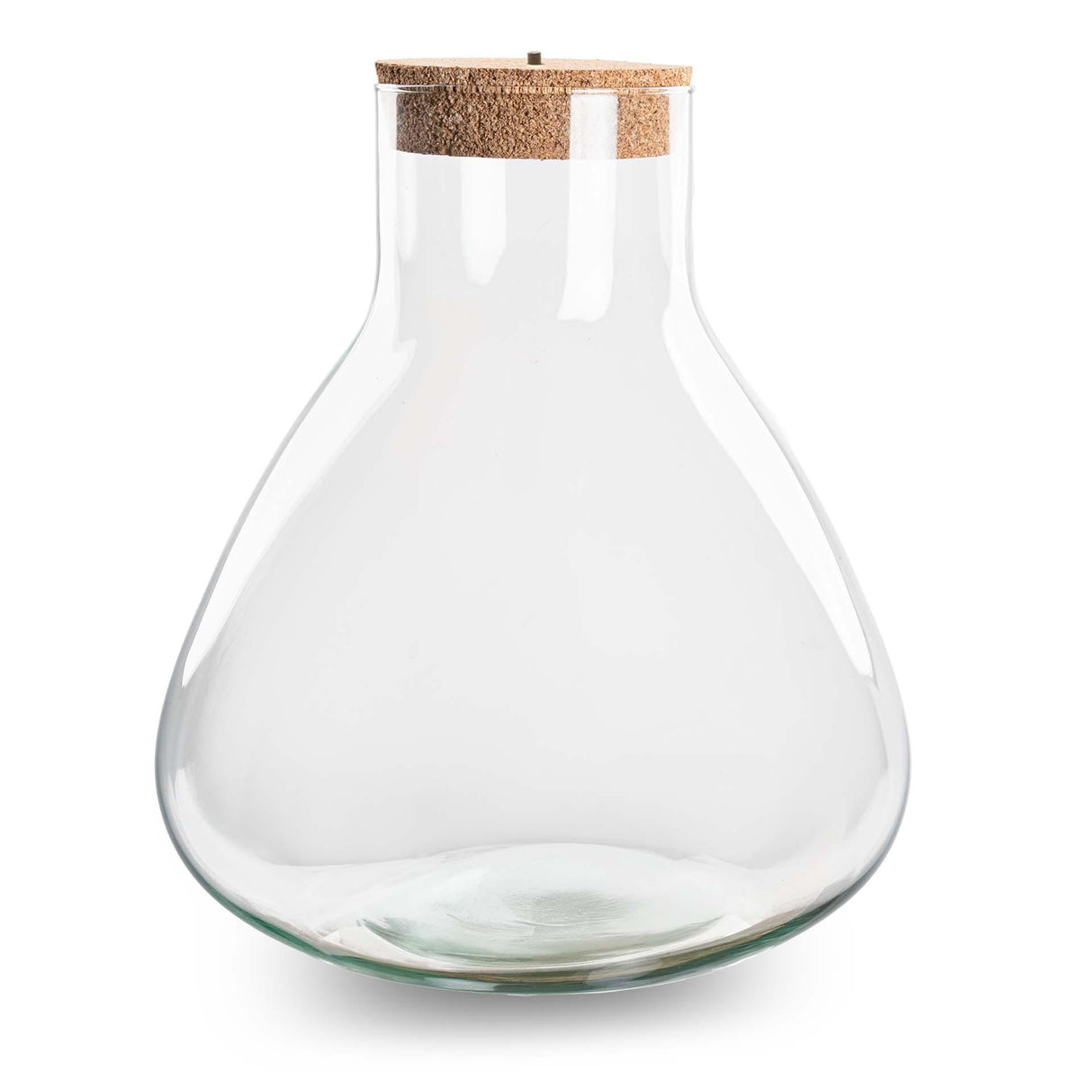 Bouteille terrarium Erlenmeyer : Ø 30 cm, hauteur 32 cm