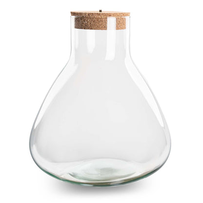 Bouteille terrarium Erlenmeyer : Ø 30 cm, hauteur 32 cm