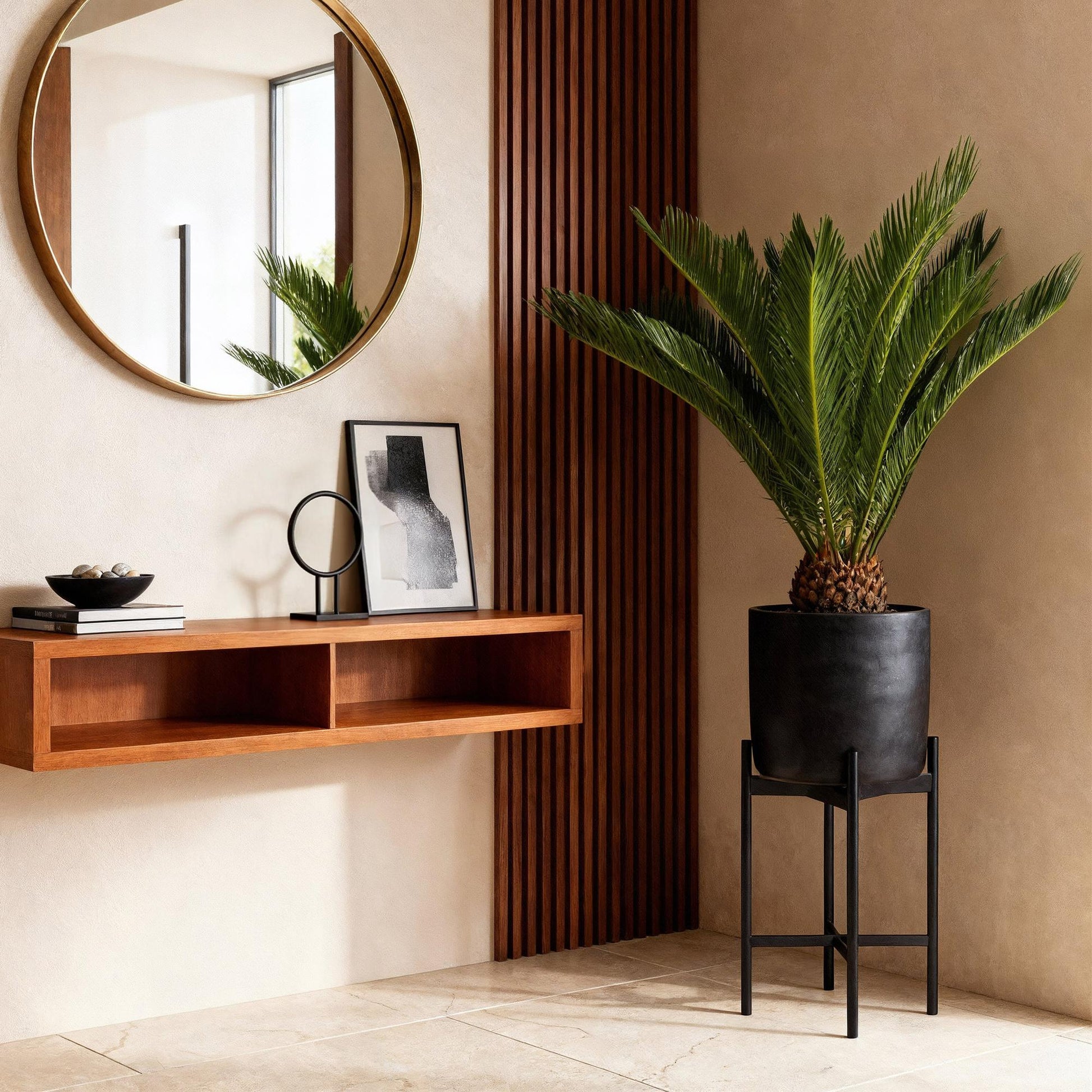 Ambiance déco avec le Cycas revoluta, un élégant palmier aux feuilles vertes, présenté dans un pot noir sur support assorti