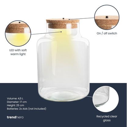 Bouteille terrarium en verre recyclé forme bouteille de lait avec bouchon LED, 2 tailles