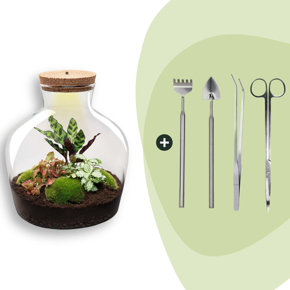 Grand kit terrarium lumineux Calathea : Avec râteau, pelle, pince et ciseaux