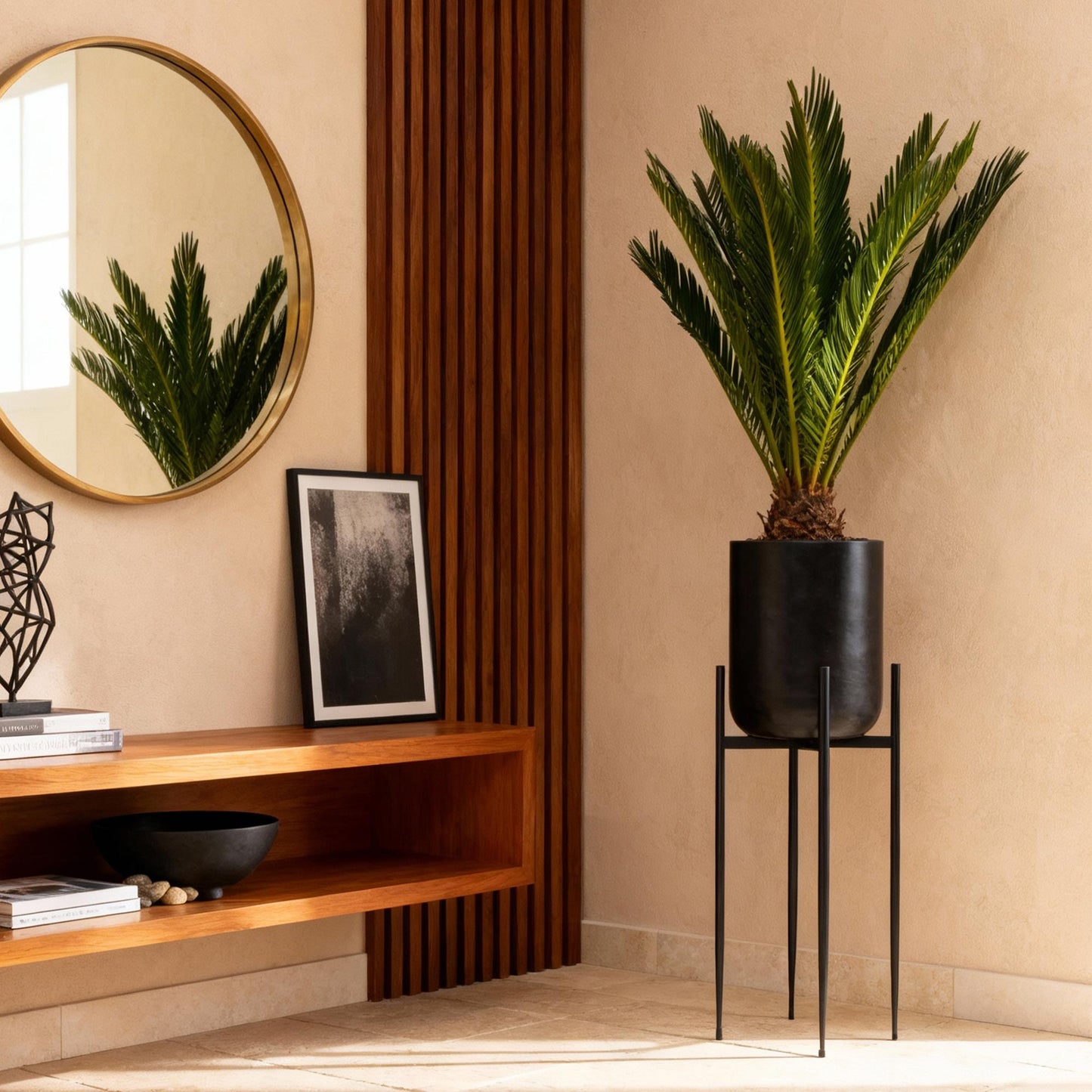 Ambiance élégante avec un Cycas revoluta, palmier, aux feuilles vert foncé luxuriantes dans un pot cylindrique noir mat sur un support à