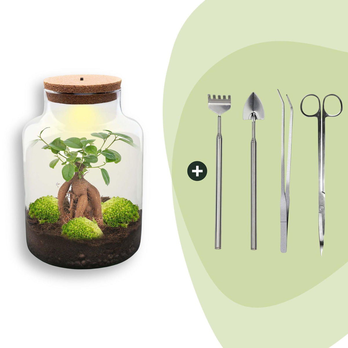 Kit terrarium lumineux en bouteille à lait : Avec râteau, pelle, pince et ciseaux