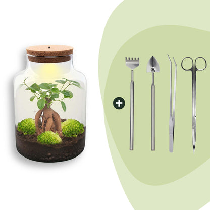 Kit terrarium lumineux en bouteille à lait : Avec râteau, pelle, pince et ciseaux