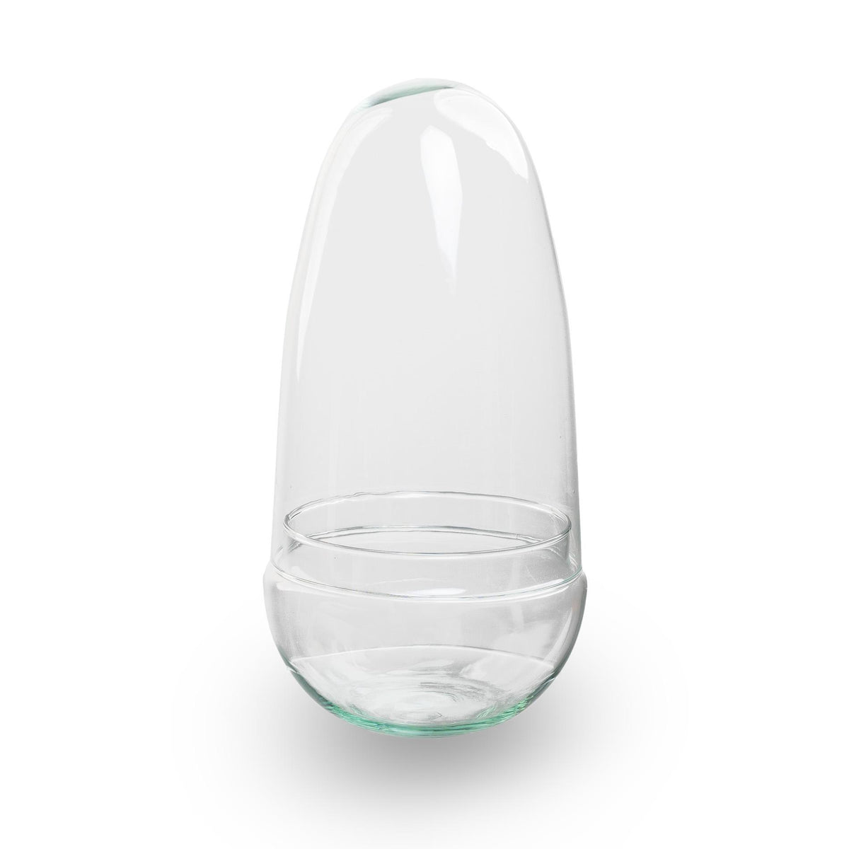 Terrarium œuf en verre : Ø 12 cm, hauteur 25 cm