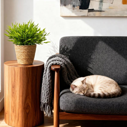 Plante d'intérieur - Bamusa Pogonatherum Monica - Herbe de bambou - Plante adaptée aux animaux - Vert - 1 Plante - avec Panier - Pot 12cm - Hauteur 20cm