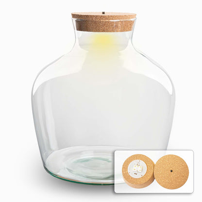 Bouteille terrarium en verre recyclé avec bouchon LED, 5,5 L ou 9 L