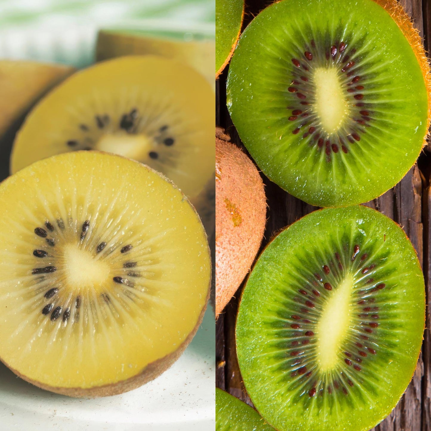 Kiwi Verte & Jaune Actinidia deliciosa Jenny & Kiwi Doré : Gros plan en gros plan montrant des kiwis verts et dorés coupés en deux, révélant