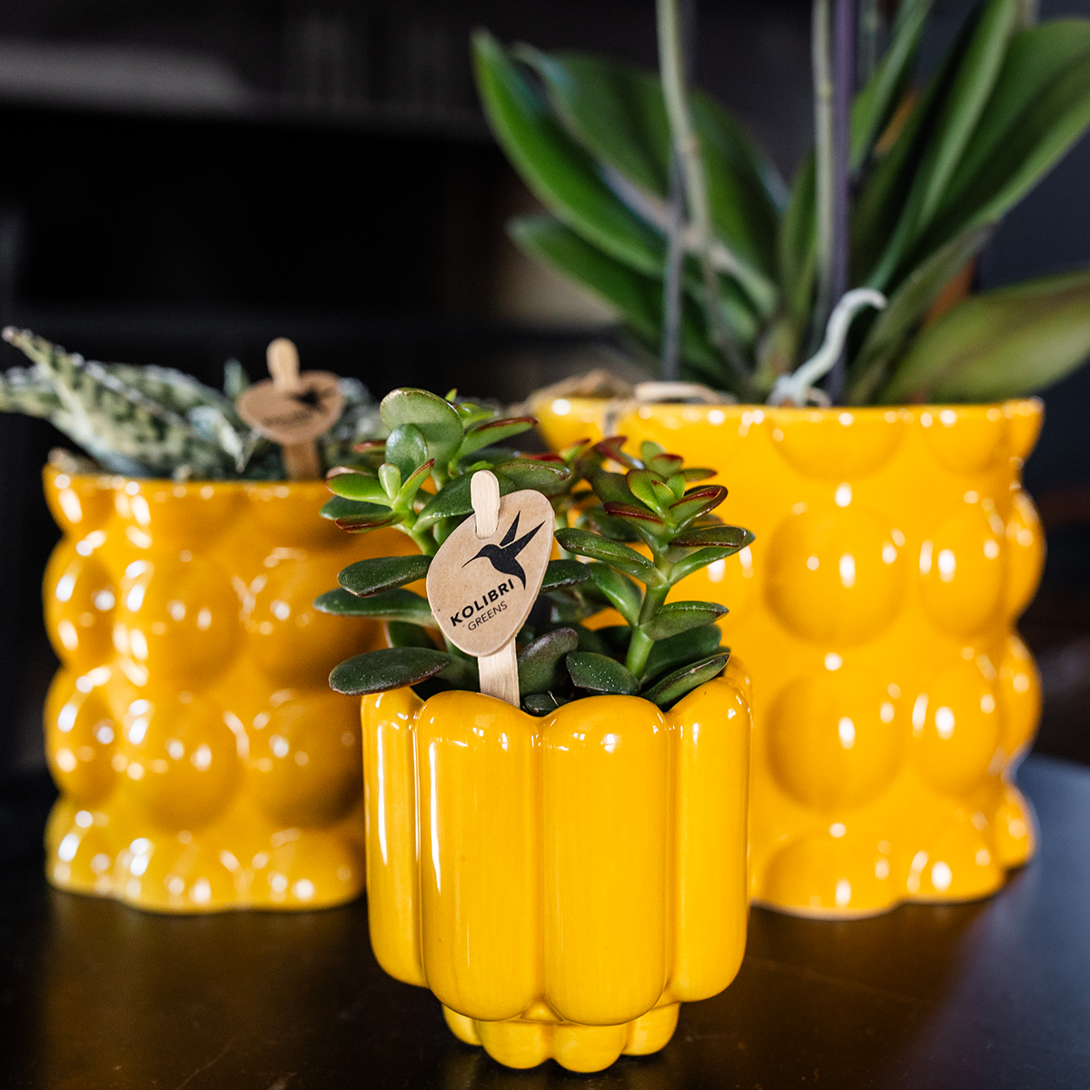 Cache-pot céramique brillant - allure rétro chic - jaune