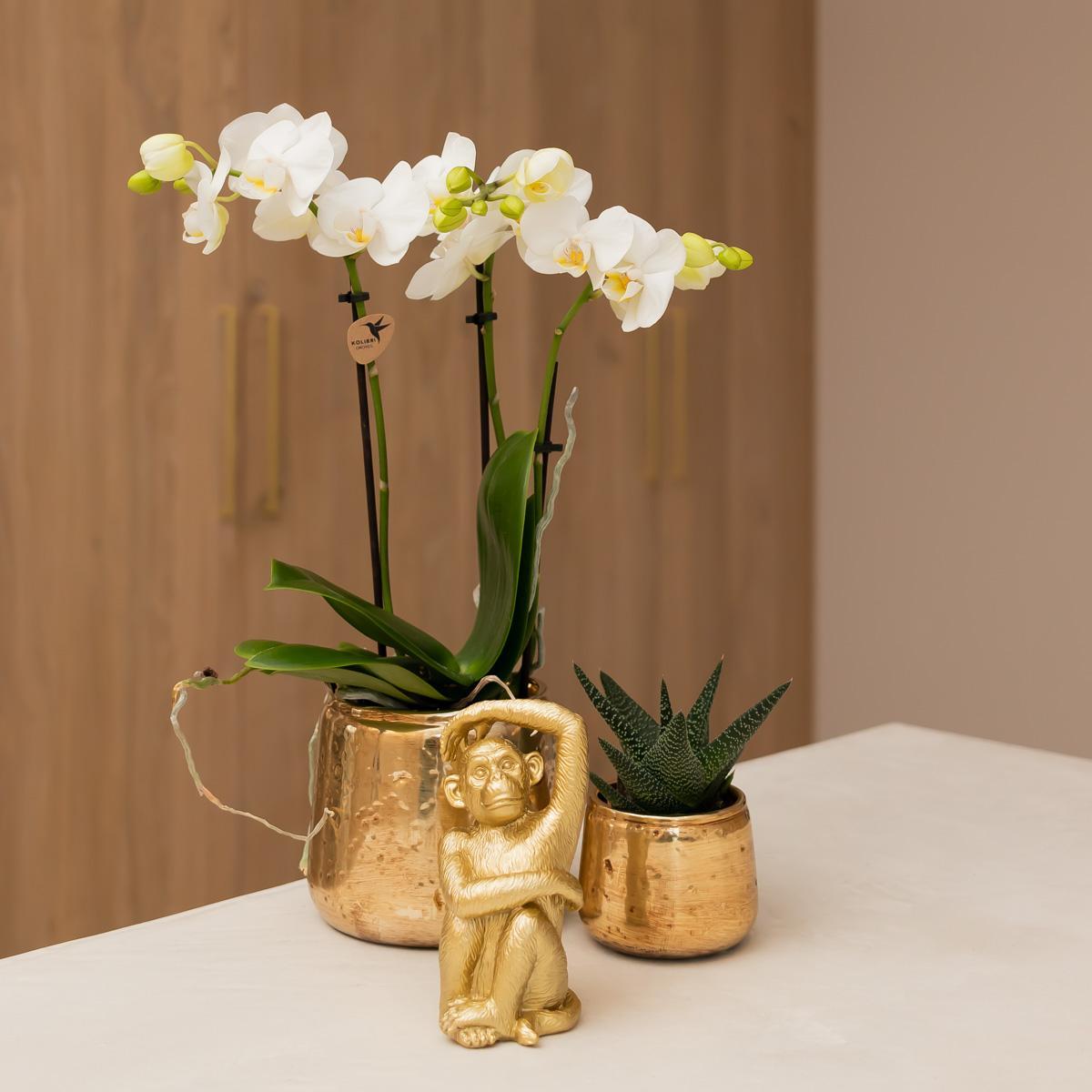 Cache-pot céramique brillant Luxury - reflets précieux dorés ou argentés