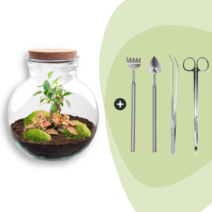Kit terrarium boule bonsaï : Avec râteau, pelle, pince et ciseaux