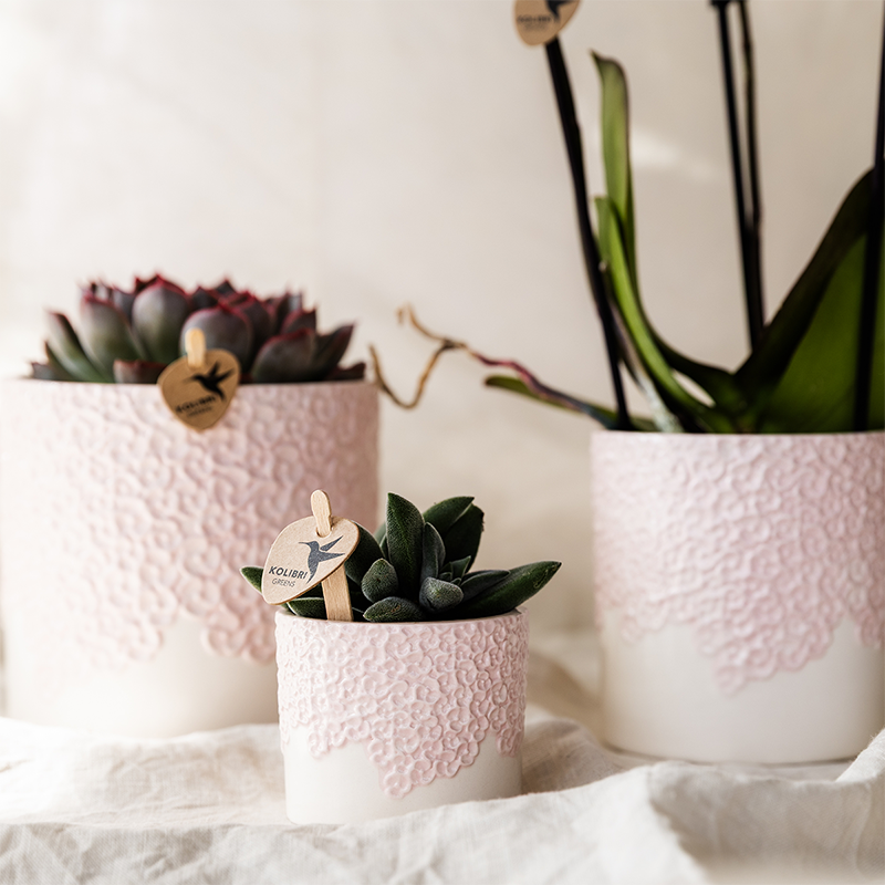Cache-pot céramique en relief floral - courbes douces et coloris tendres - rose
