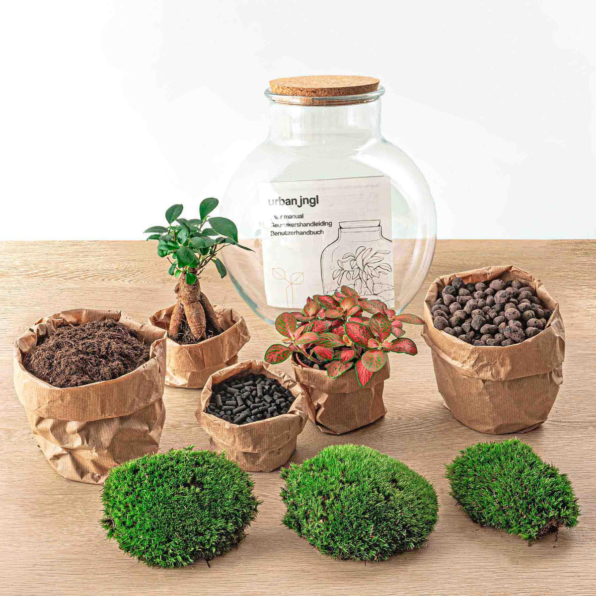 Kit terrarium boule bonsaï : Avec râteau et pelle