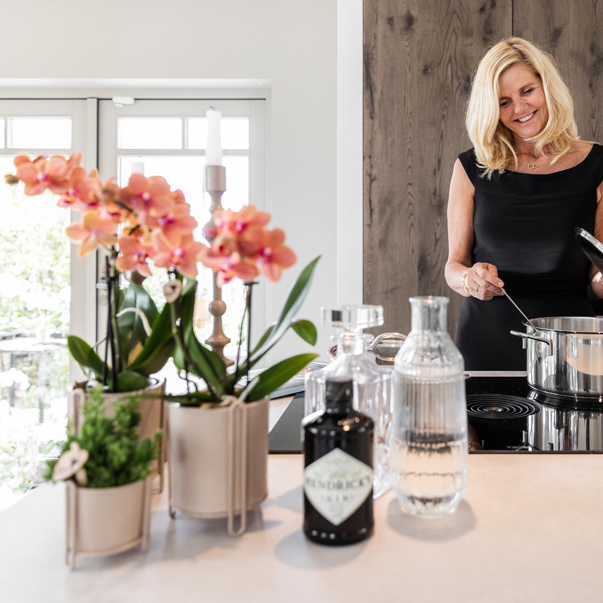 Orchidée Phalaenopsis orange en pot