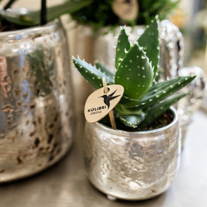 Cache-pot céramique brillant Luxury - reflets précieux dorés ou argentés