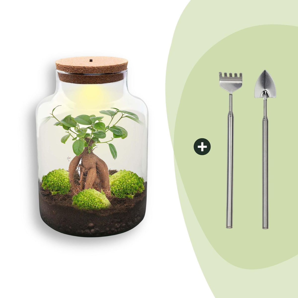 Kit terrarium lumineux en bouteille à lait : Avec râteau et pelle