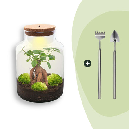 Kit terrarium lumineux en bouteille à lait : Avec râteau et pelle