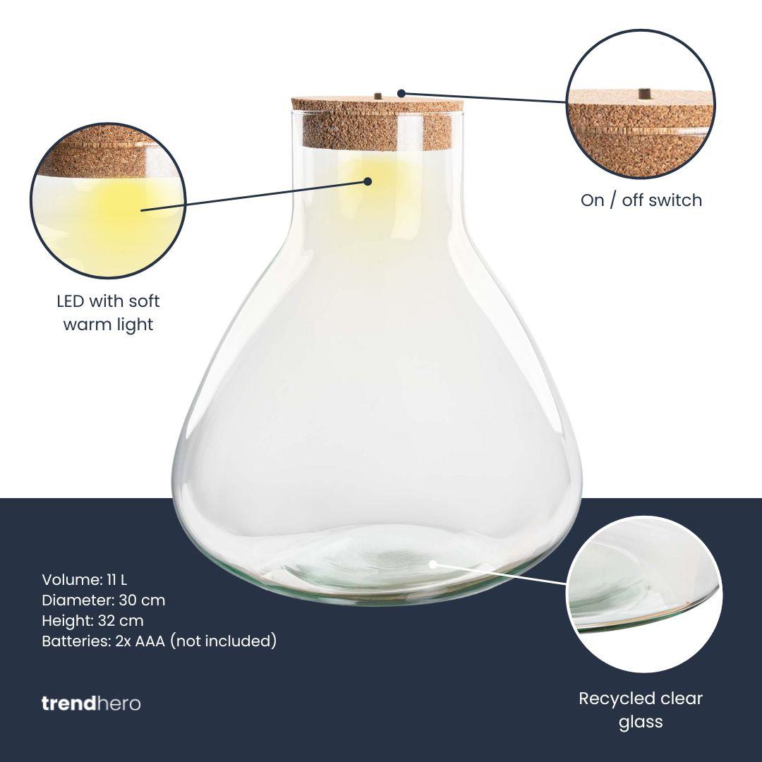 Bouteille terrarium Erlenmeyer : Ø 30 cm, hauteur 32 cm