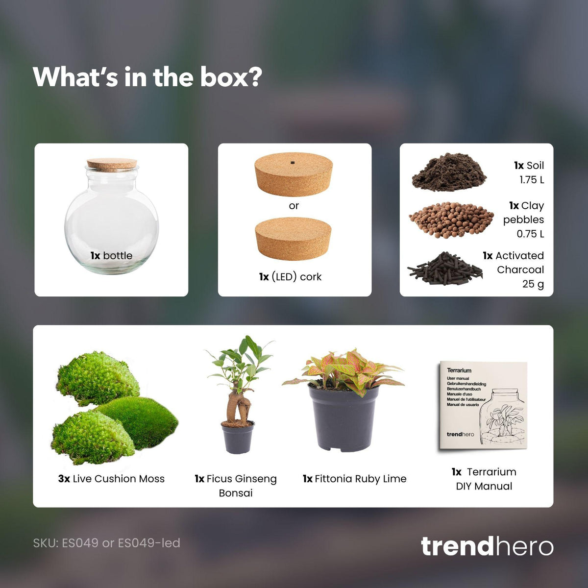 Kit terrarium boule bonsaï : Sans outils, avec bouchon LED