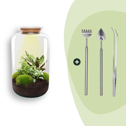 Kit terrarium lumineux haute bouteille : Avec râteau, pelle et pince