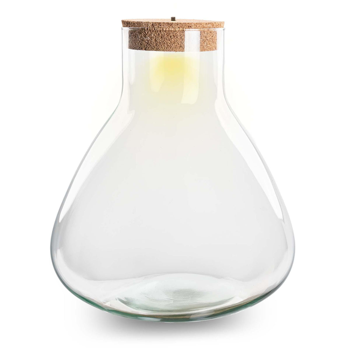 Bouteille terrarium Erlenmeyer : Ø 30 cm, hauteur 32 cm