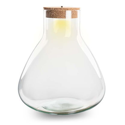 Bouteille terrarium Erlenmeyer : Ø 30 cm, hauteur 32 cm