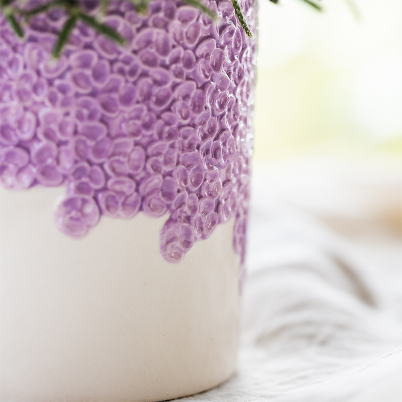 Orchidée Phalaenopsis violette en pot
