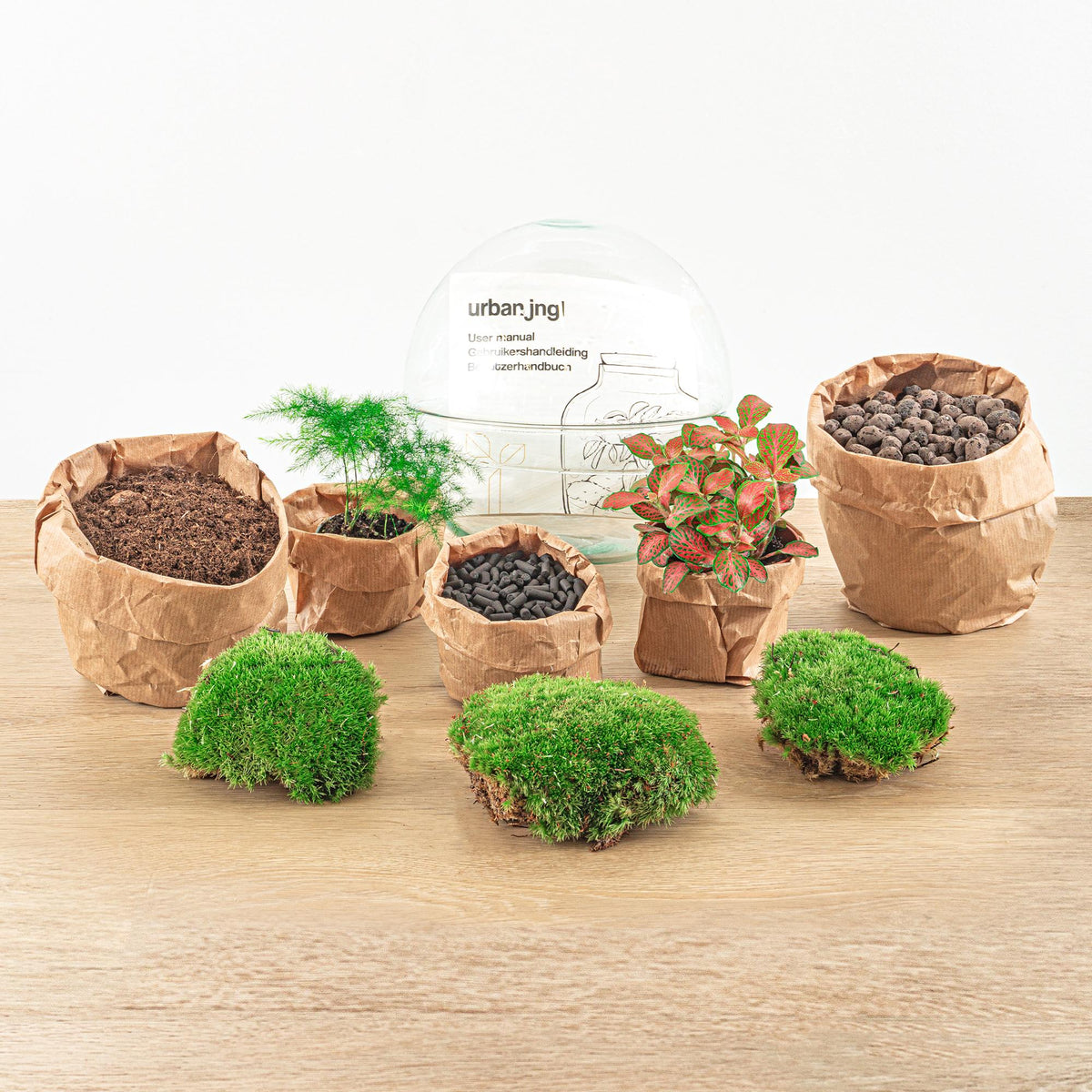 Kit terrarium sphère Fittonia : Avec râteau, pelle et pince