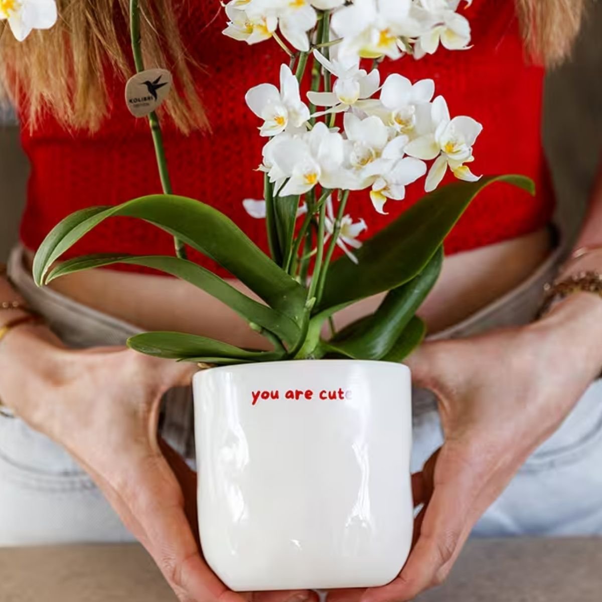 Cache-pot céramique « You Are Cute » - le compliment à offrir - mise en scène avec une plante