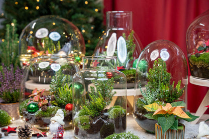 Kit terrarium de Noël fermé avec Fittonia, bruyère et décorations, bocal en verre Ø 19 cm