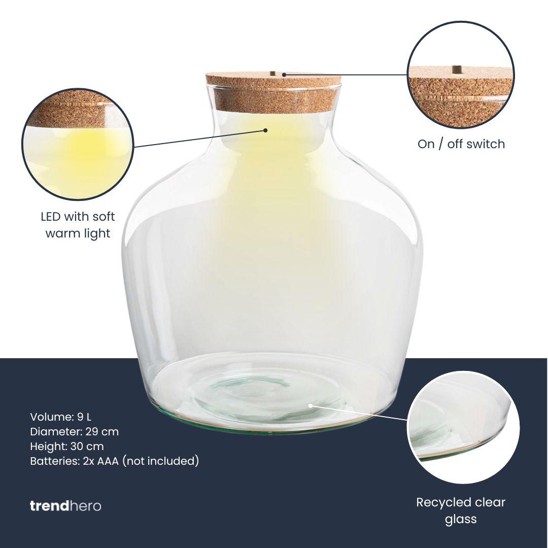 Bouteille terrarium en verre recyclé avec bouchon LED, 5,5 L ou 9 L