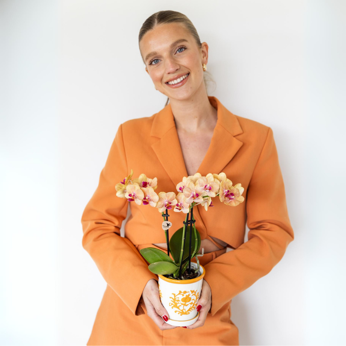 Cache-pot céramique mat coloré - la touche pop de votre déco