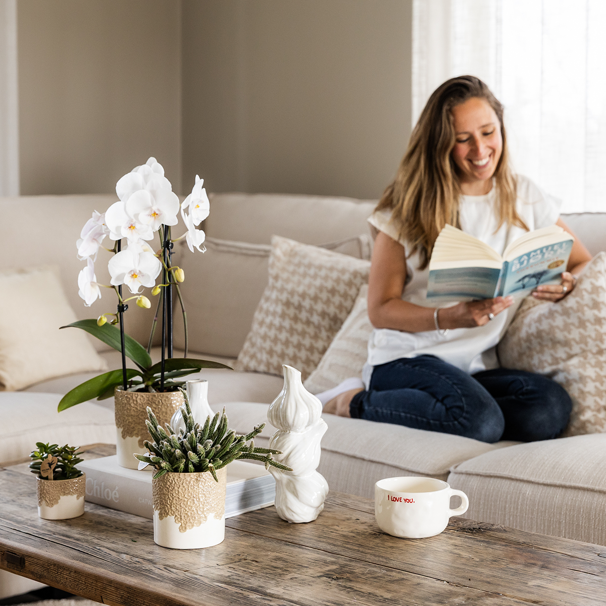 Orchidée Phalaenopsis blanche en pot