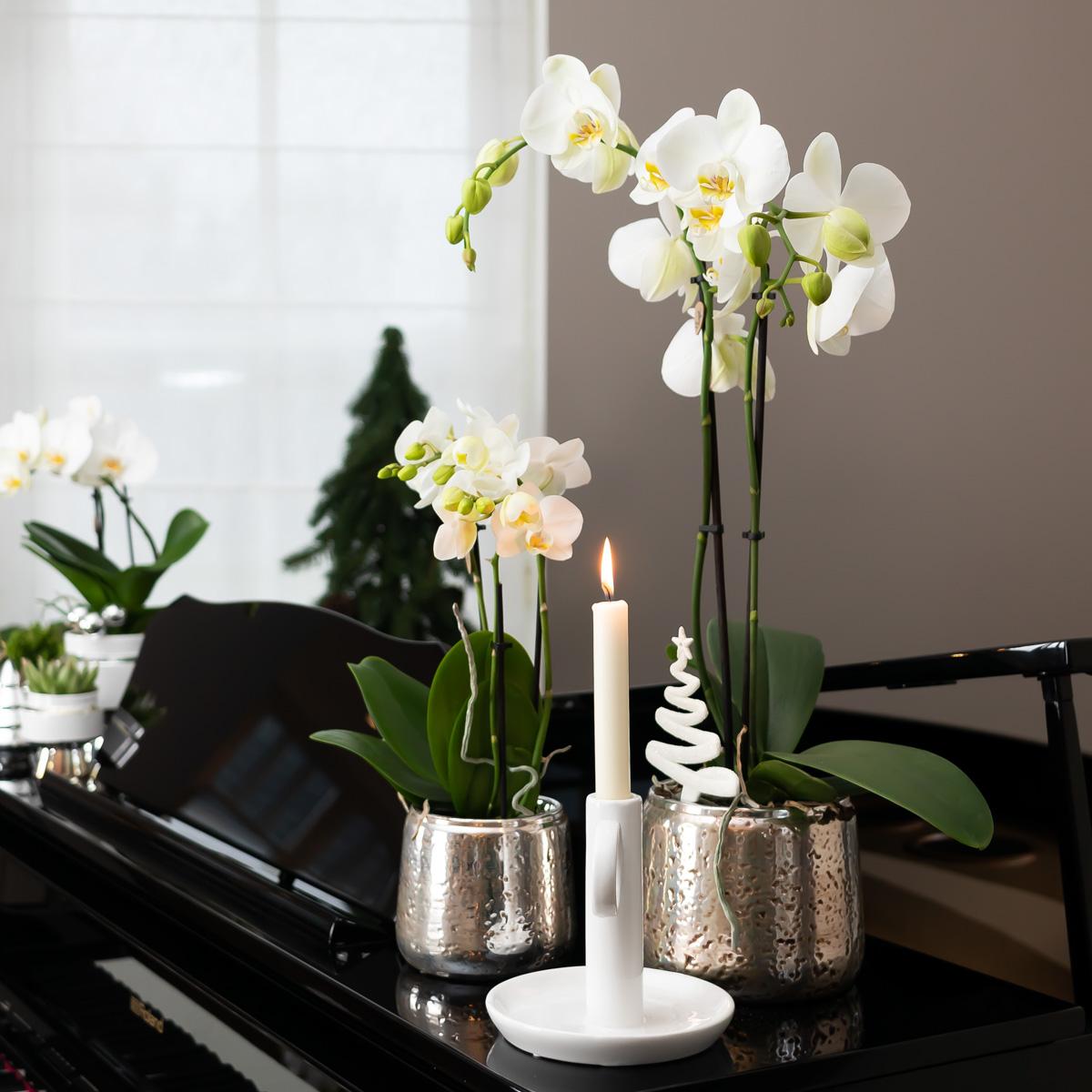 Cache-pot céramique brillant Luxury - reflets précieux dorés ou argentés