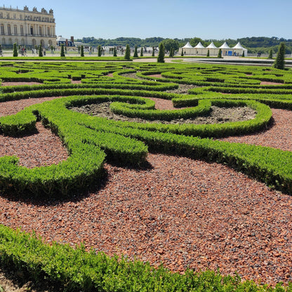 BetterBuxus Skylight en haie taillée dans un jardin à la française, avec le château de Versailles en arrière-plan sous un ciel bleu.