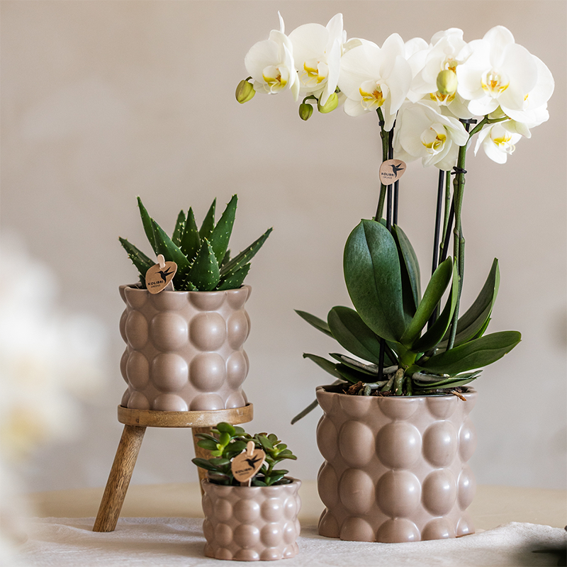 Lot de 3 cache-pots céramique texture bulles - sable (6, 9 et 12 cm)