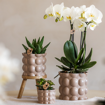 Lot de 3 cache-pots céramique texture bulles - sable (6, 9 et 12 cm)