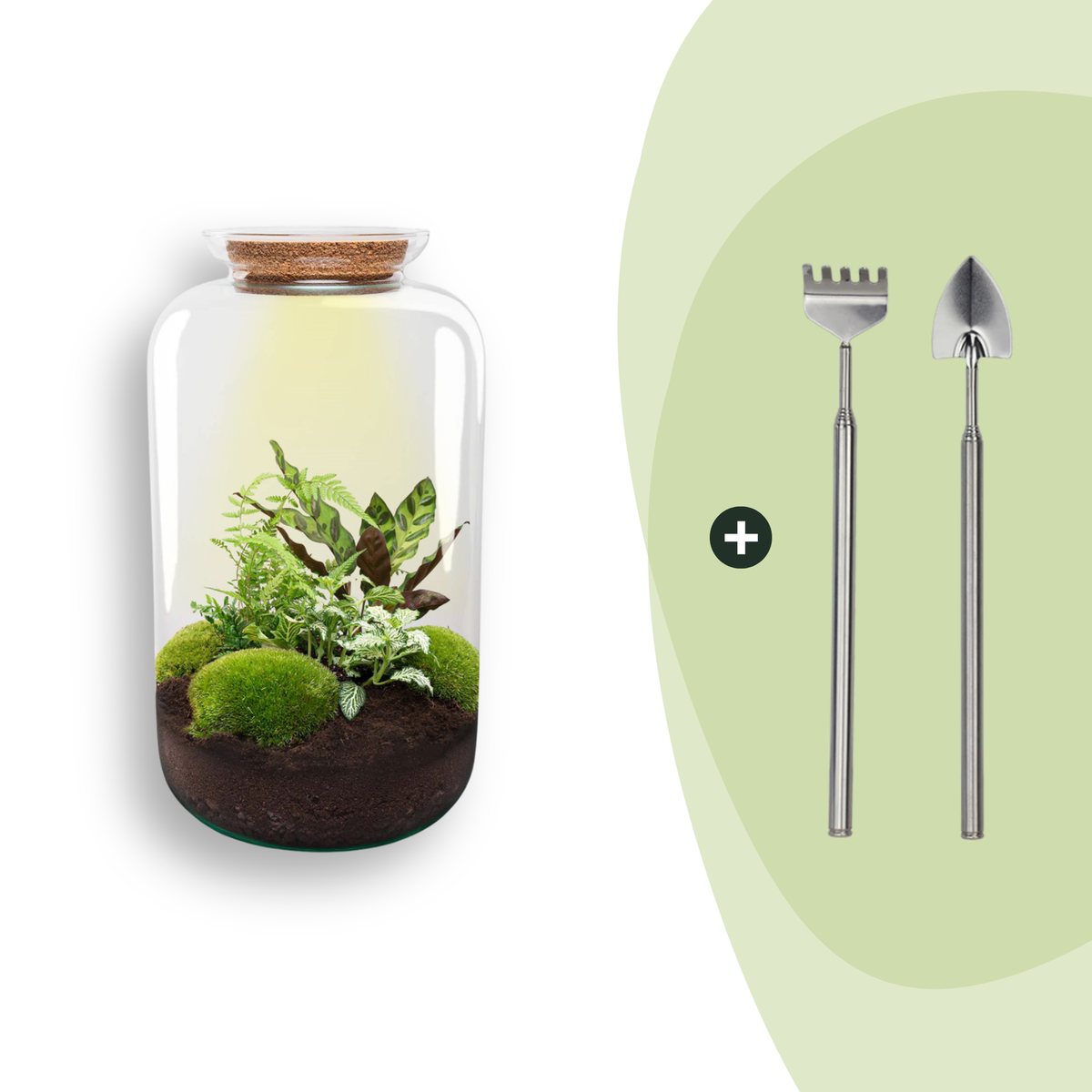 Kit terrarium lumineux haute bouteille : Avec râteau et pelle