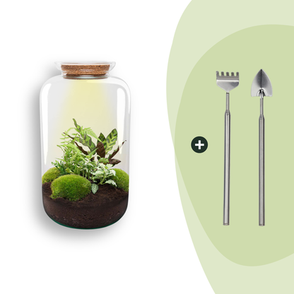 Kit terrarium lumineux haute bouteille : Avec râteau et pelle