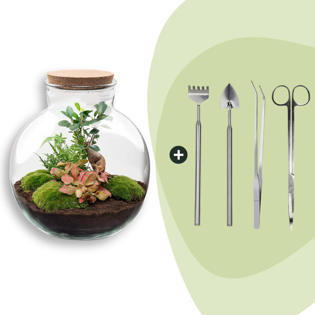Grand kit terrarium bonsaï : Avec râteau, pelle, pince et ciseaux