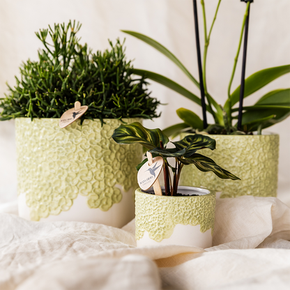 Lot de 3 cache-pots céramique en relief floral - vert (6, 9 et 12 cm)