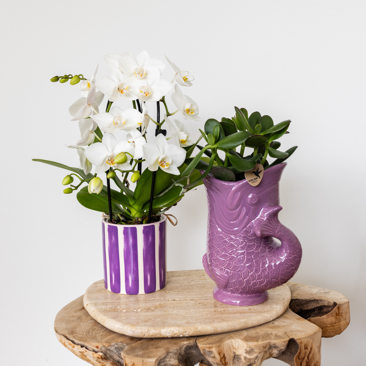 Cache-pot céramique forme poisson - touche ludique et marine - lilas