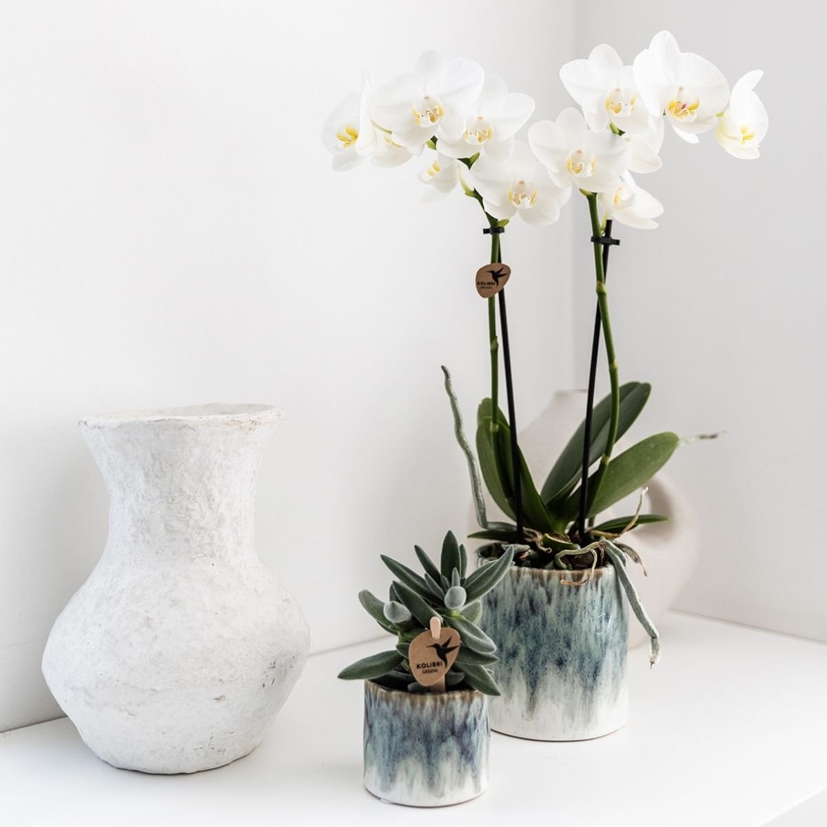 Cache-pot céramique émaillé bleu nuageux - effet aquarelle - mise en scène avec une plante