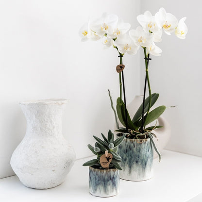 Cache-pot céramique émaillé bleu nuageux - effet aquarelle - mise en scène avec une plante