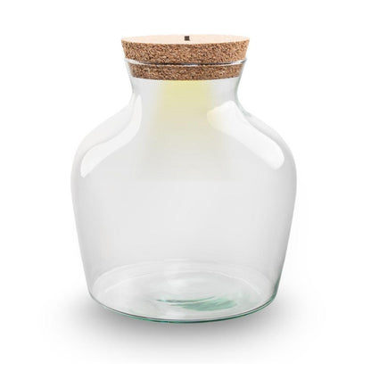 Bouteille terrarium LED : Ø 20 cm, hauteur 22 cm, 5,5 L