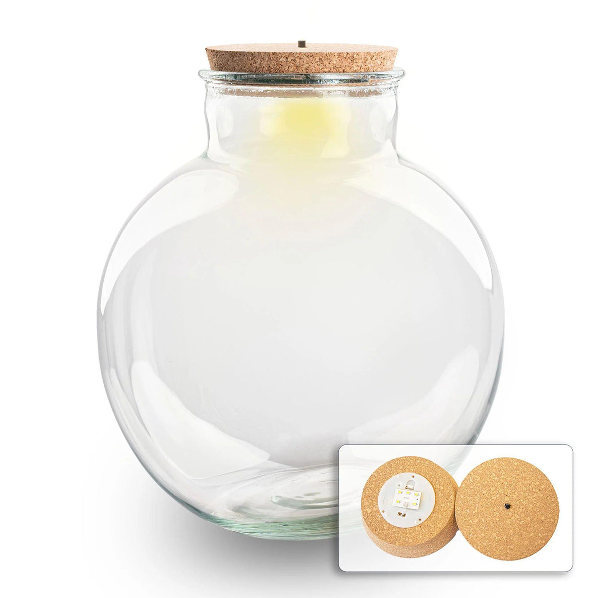 Grande bouteille terrarium en verre recyclé 11 L, Ø 30 cm, bouchon liège ou bouchon LED