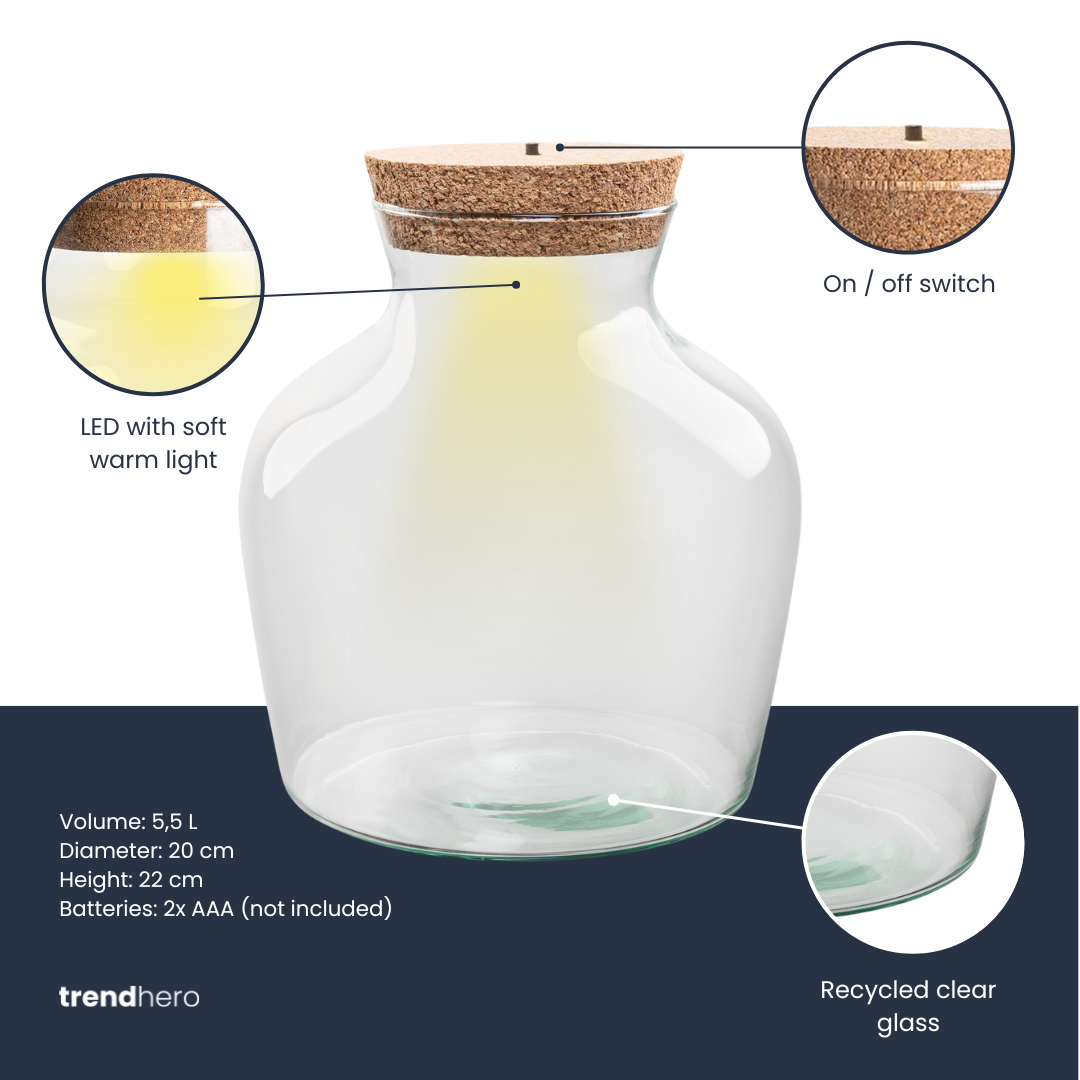 Bouteille terrarium LED : Ø 20 cm, hauteur 22 cm, 5,5 L, fiche technique