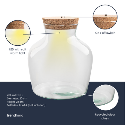 Bouteille terrarium LED : Ø 20 cm, hauteur 22 cm, 5,5 L, fiche technique