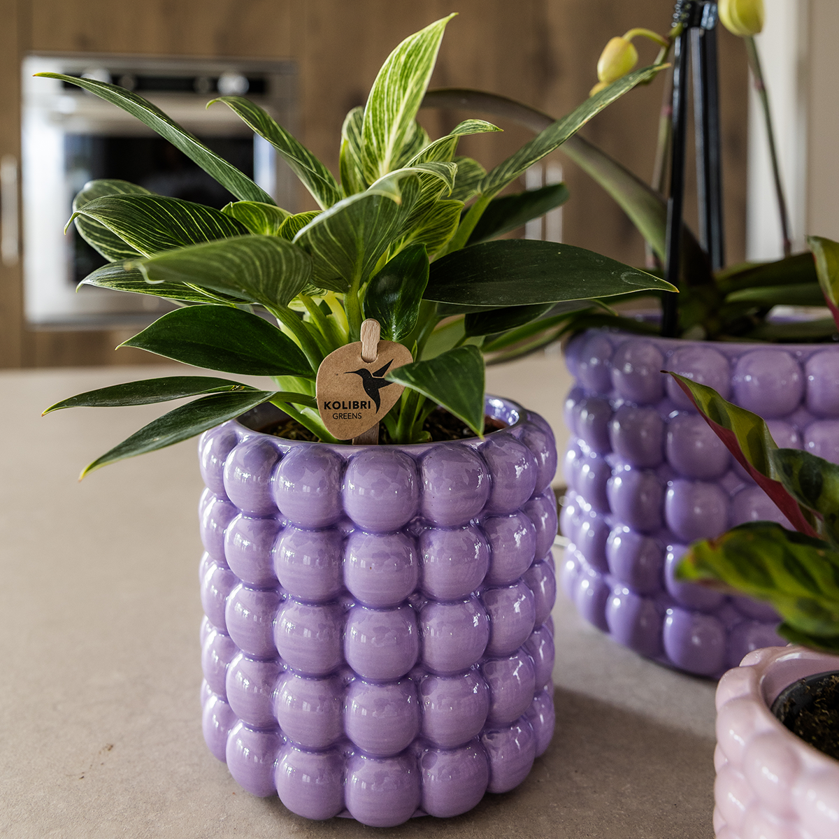 Cache-pot céramique - rondeurs colorées et gaies - violet